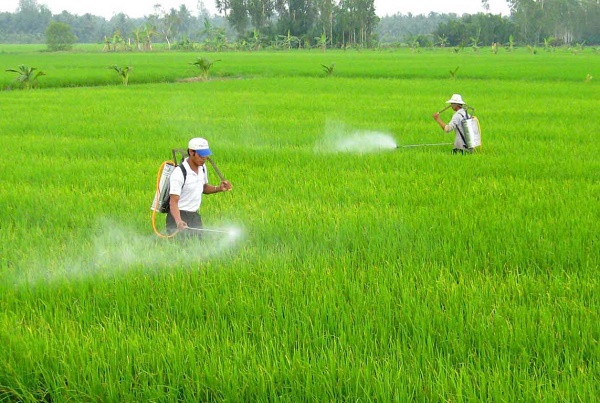 cach phong chong benh ung thu mau